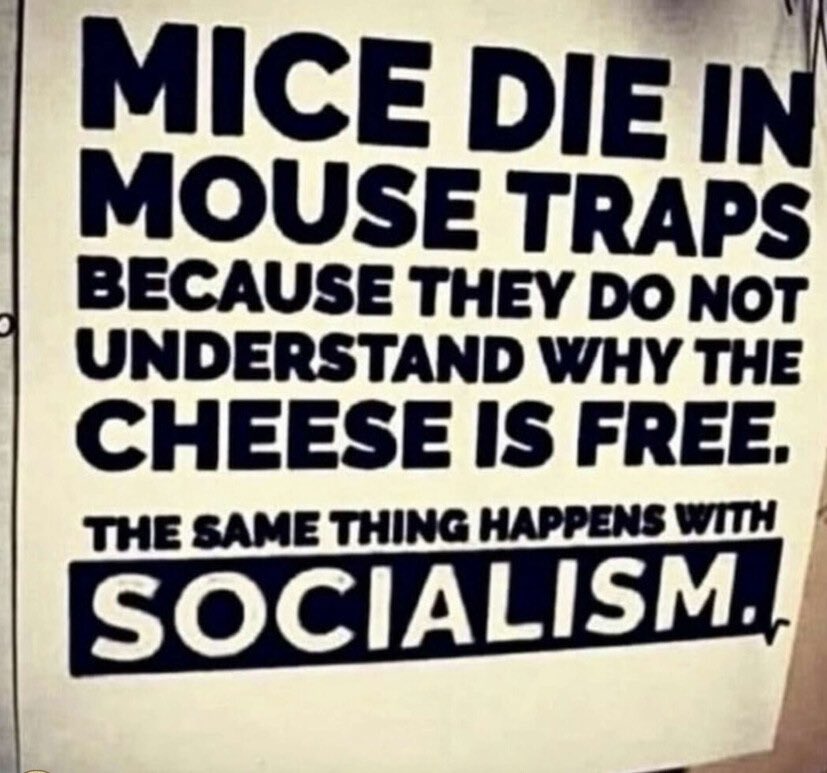 Bob Cassara (@bob4brooklyn) on Twitter photo 