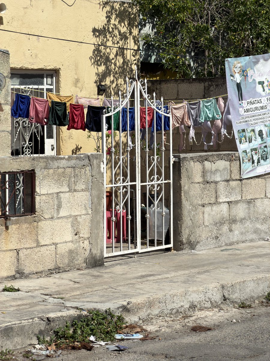 Cuando vas por la calle y te topas con estas hermosuras de trusas 😍
#Trusas #Trusa #Brief #Slip #Bikini #Calzoncillo