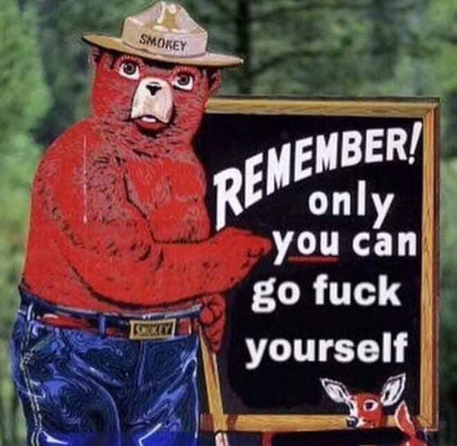 train companion tweet media