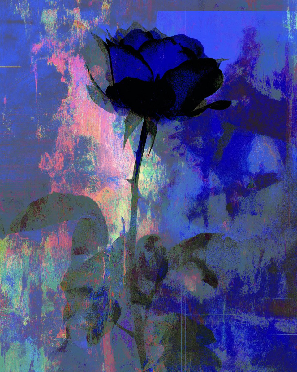 Dan Fraser tweet media