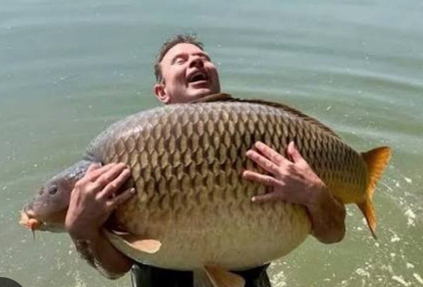 Toj hto palaje tweet media