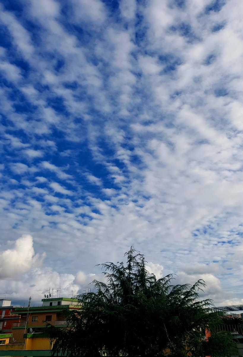 Maria Lea tweet media