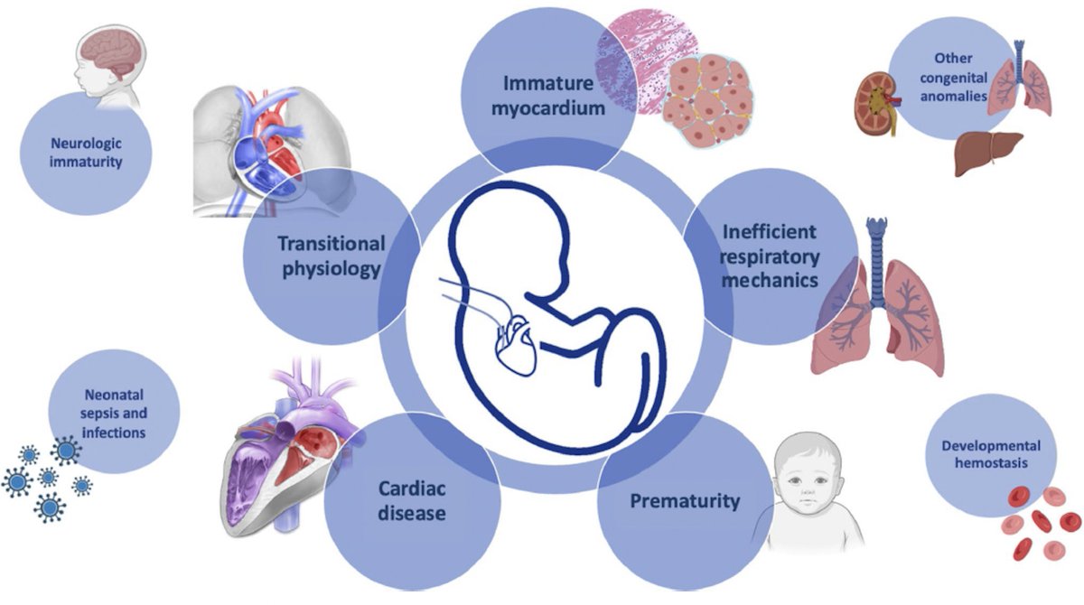 Giulia Lima tweet media