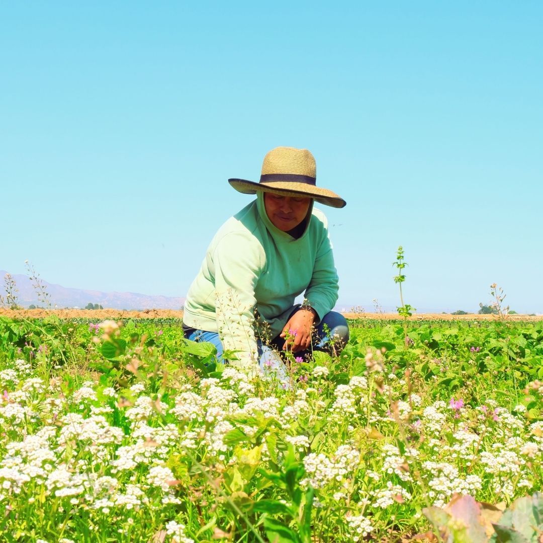 Conscious Kitchen tweet media