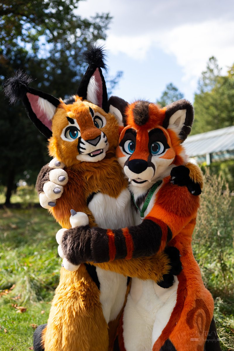 hygalation tweet media