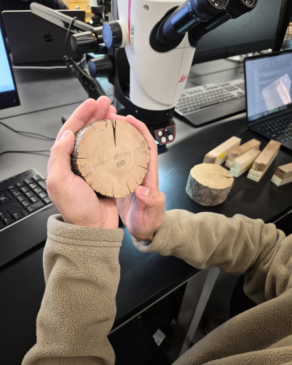 UTM Geography, Geomatics and Environment tweet media