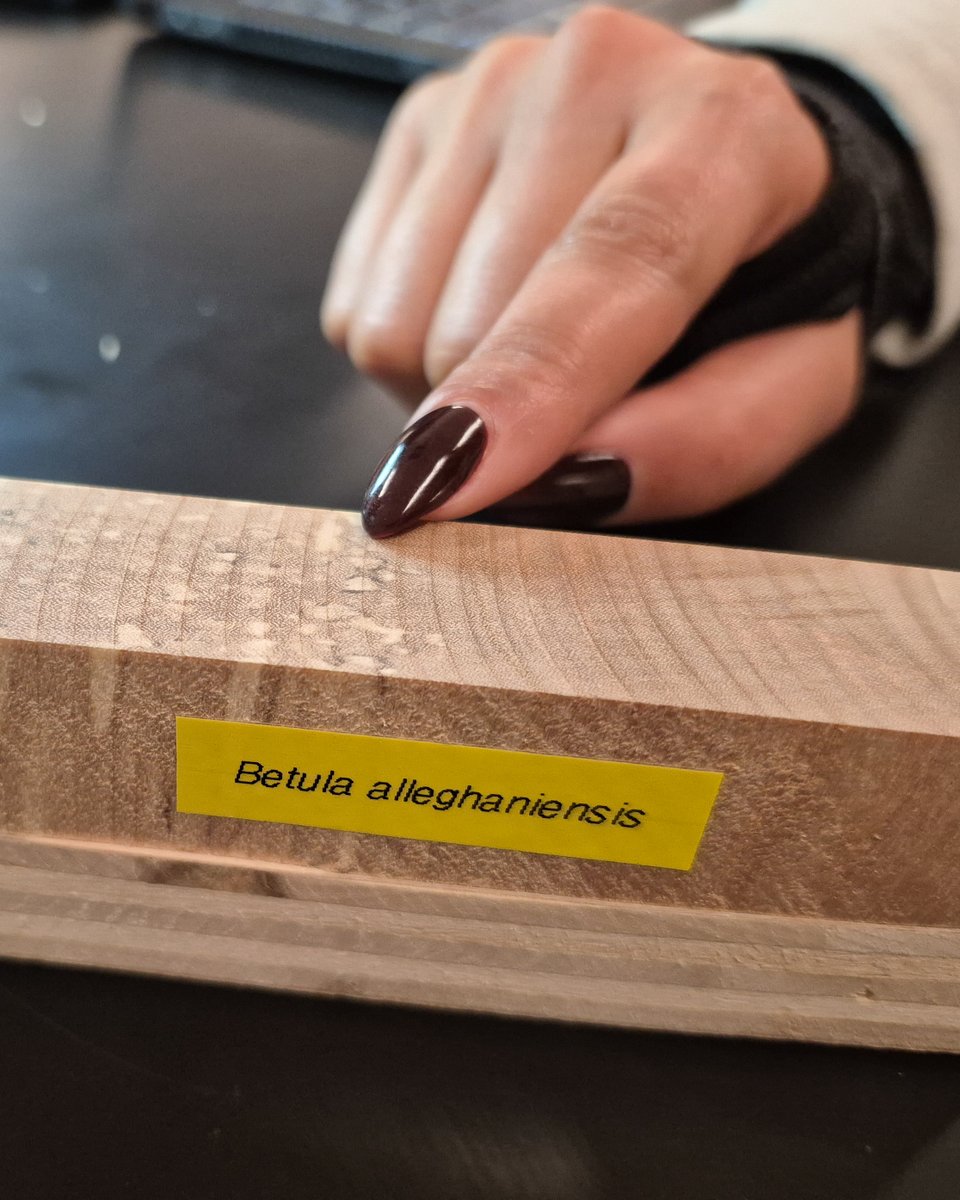 UTM Geography, Geomatics and Environment tweet media