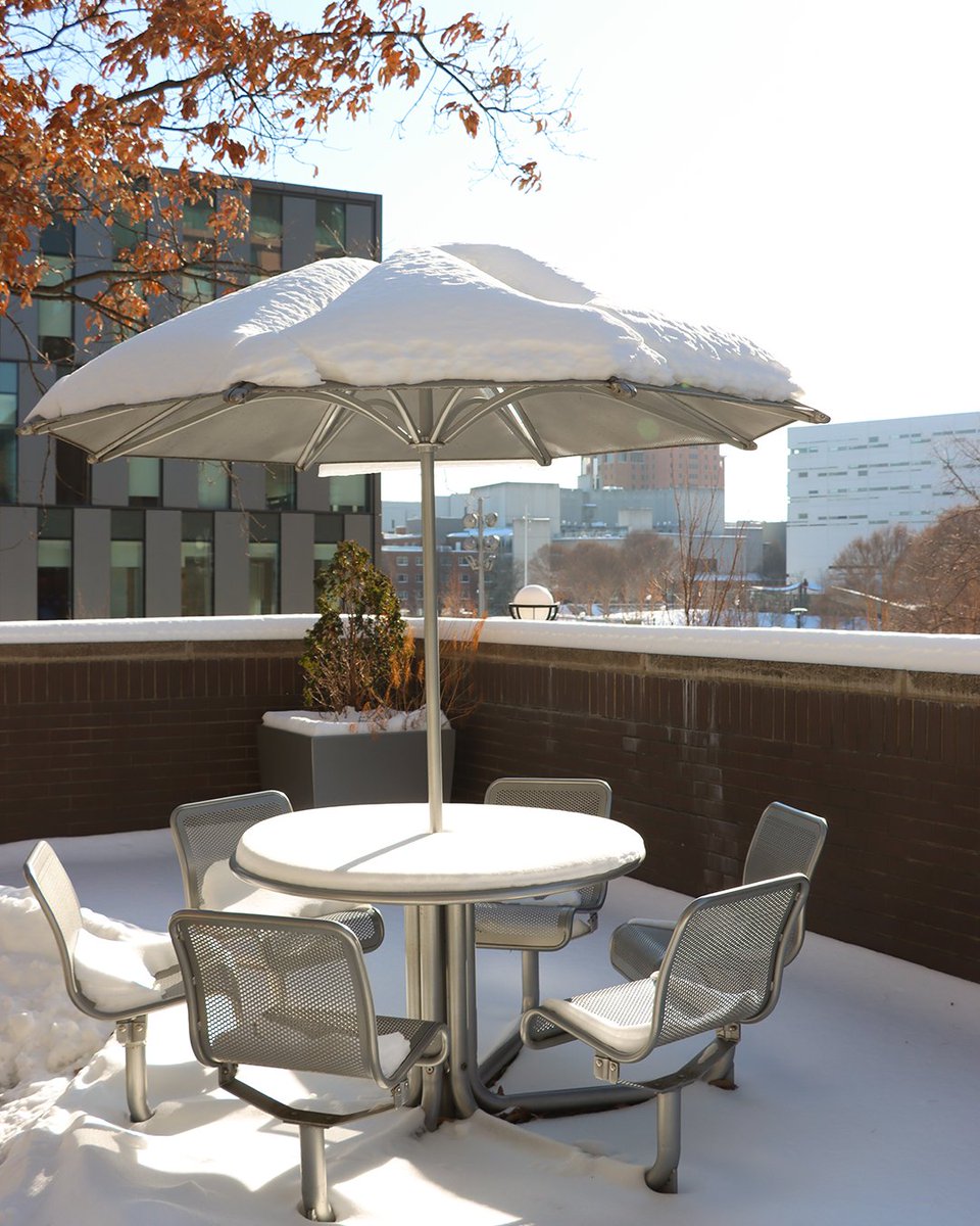 UC Libraries tweet media