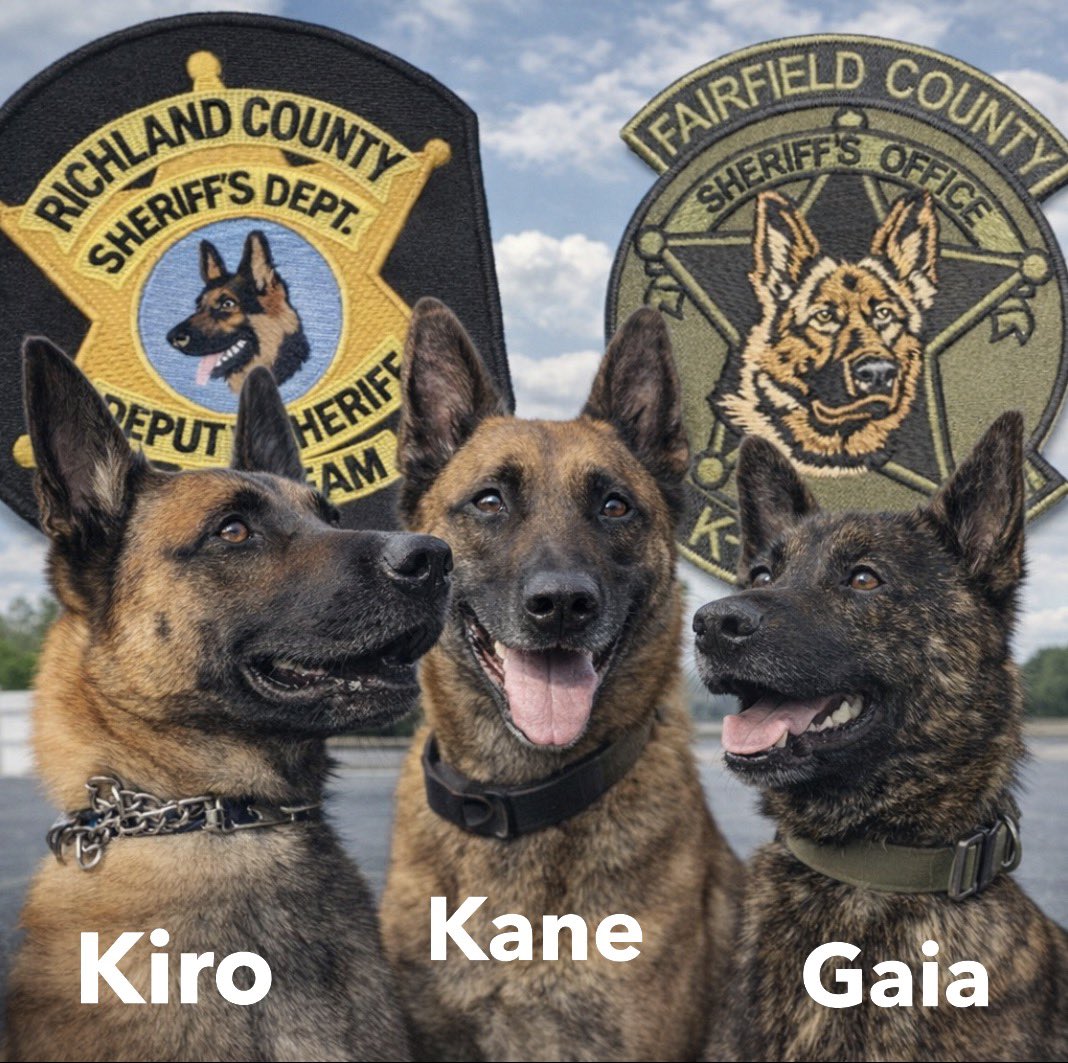 DeputyEllison's tweet photo. After 3 dogs, my time as a K9 handler has come to an end. I have decided to finish my law enforcement career in a position that will allow me to spend the most time possible with my family as my kids enter high school. #K9cops #K9 #maligator #dutchie https://t.co/flSOl8rhTg