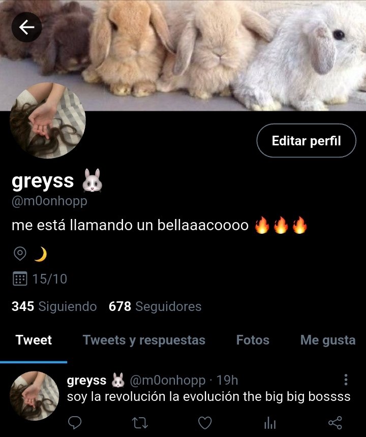 ꒰ঌ ⋆. 𝒜𝓁3x ˚⟡ ࣪ ˖ | gussyangel era tweet media