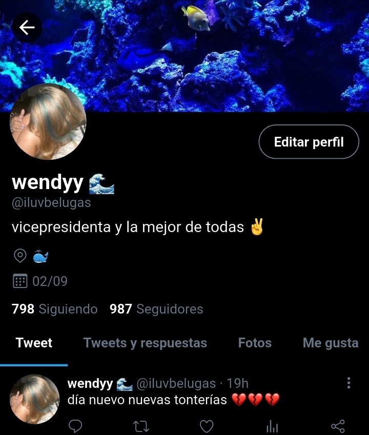 ꒰ঌ ⋆. 𝒜𝓁3x ˚⟡ ࣪ ˖ | gussyangel era tweet media