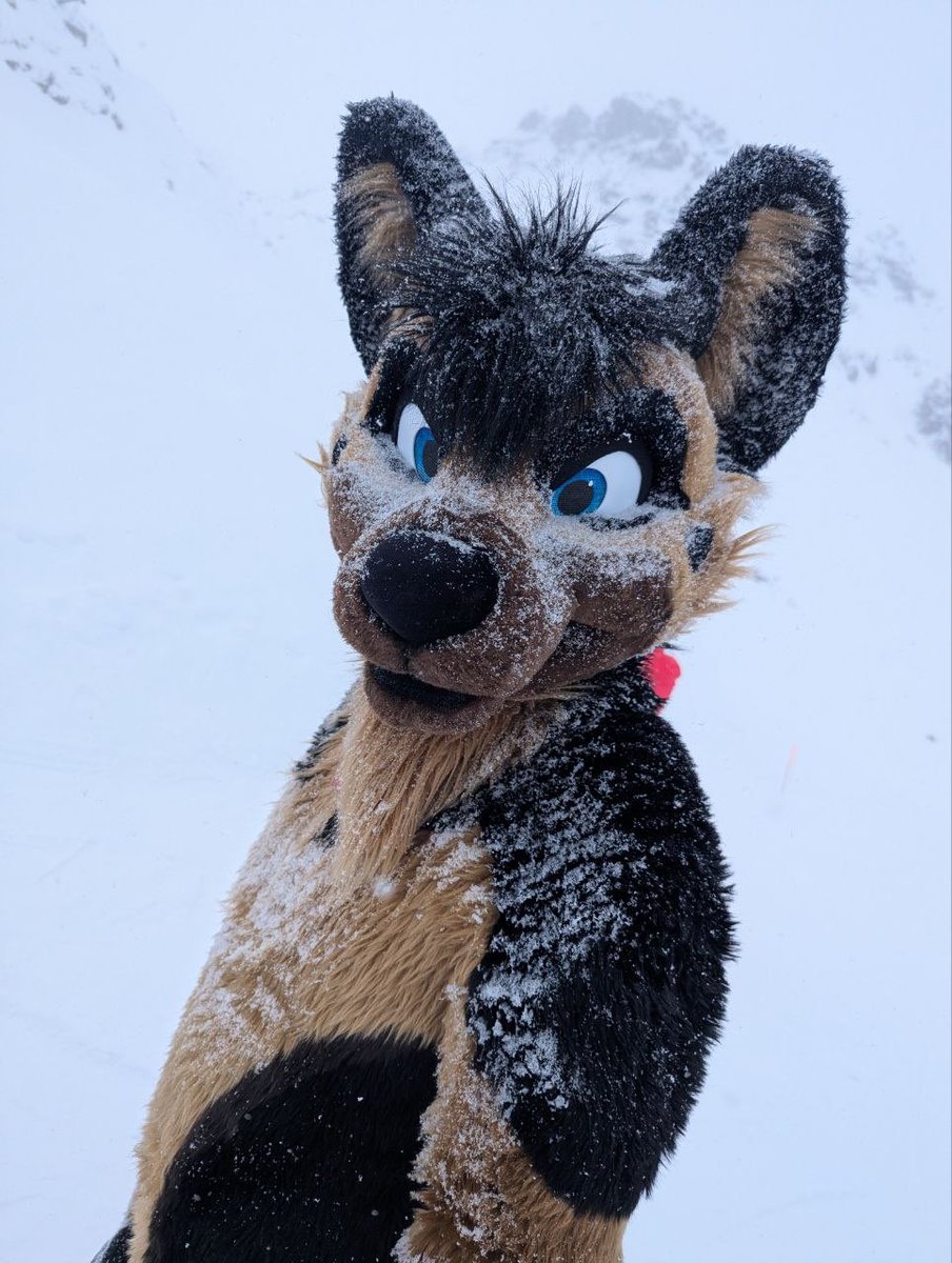 Ace 🔜 @CFZ tweet media