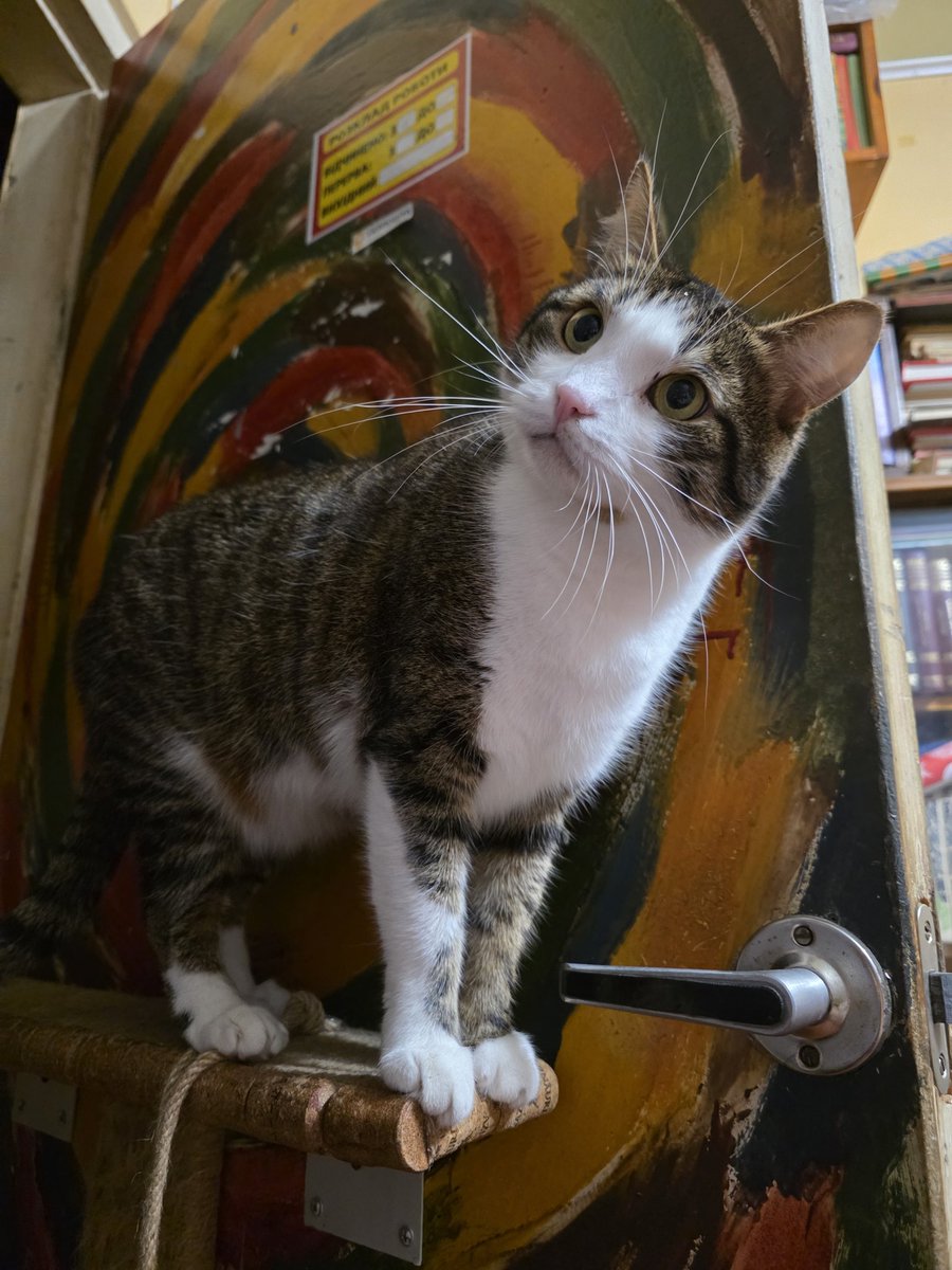 Tory Jam 🇺🇦🕊️ tweet media