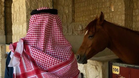 شيـمة الإنسان ميـزان اعتـداله وانحـرافه 
  تنذره لا شافت الأوضاع ماهي مستتبه