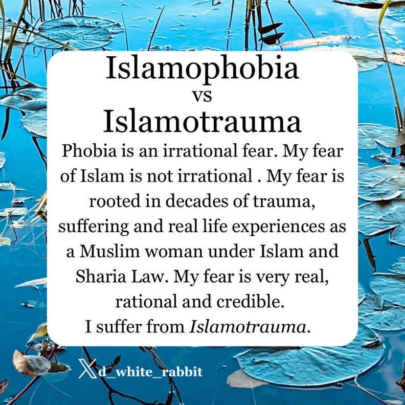 Just saw this it’s a brand new word added to my vocabulary.