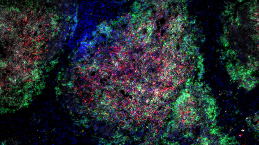 UHN Research tweet media