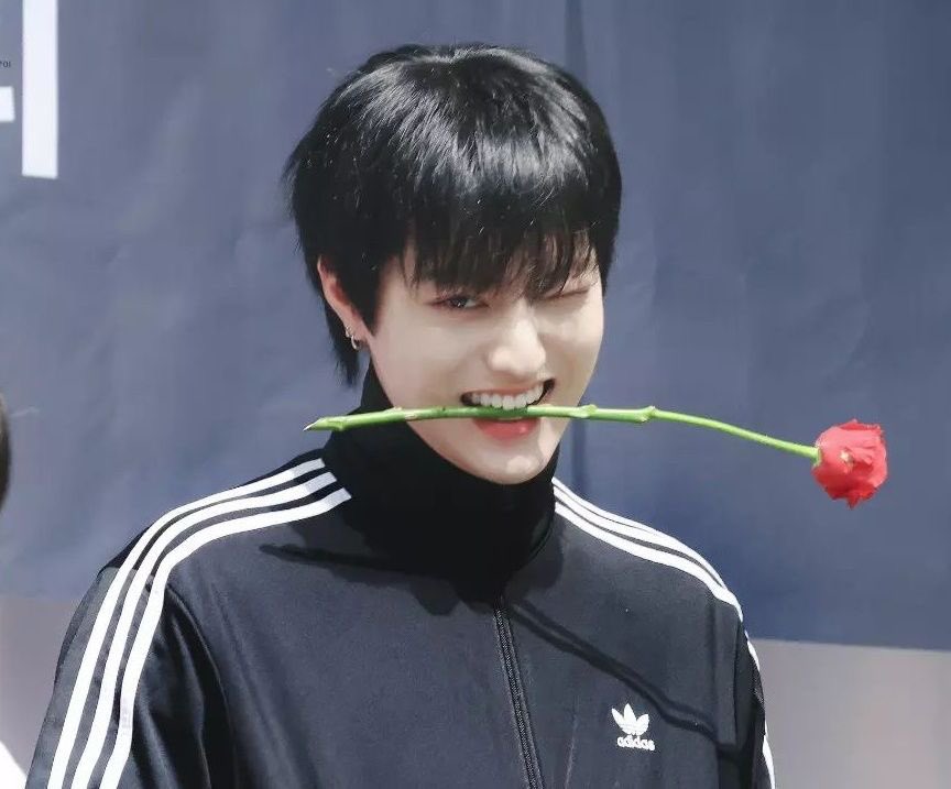 @ my bunga bunga yang baru di petik itu 🌷