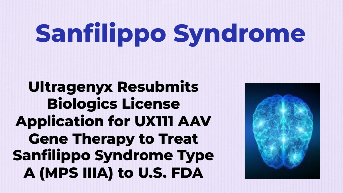 CheckOrphan's tweet photo. Ultragenyx Resubmits Biologics License Application for UX111 AAV Gene Therapy to Treat Sanfilippo Syndrome Type A (MPS IIIA) to U.S. FDA - For More Information Visit https://t.co/KSTYCAxFK5 @ultragenyx #Rare_Diseases #MPSIIIA #FDA #Sanfilippo_Syndrome #Drug_Discovery https://t.co/SmBUQXPxRW