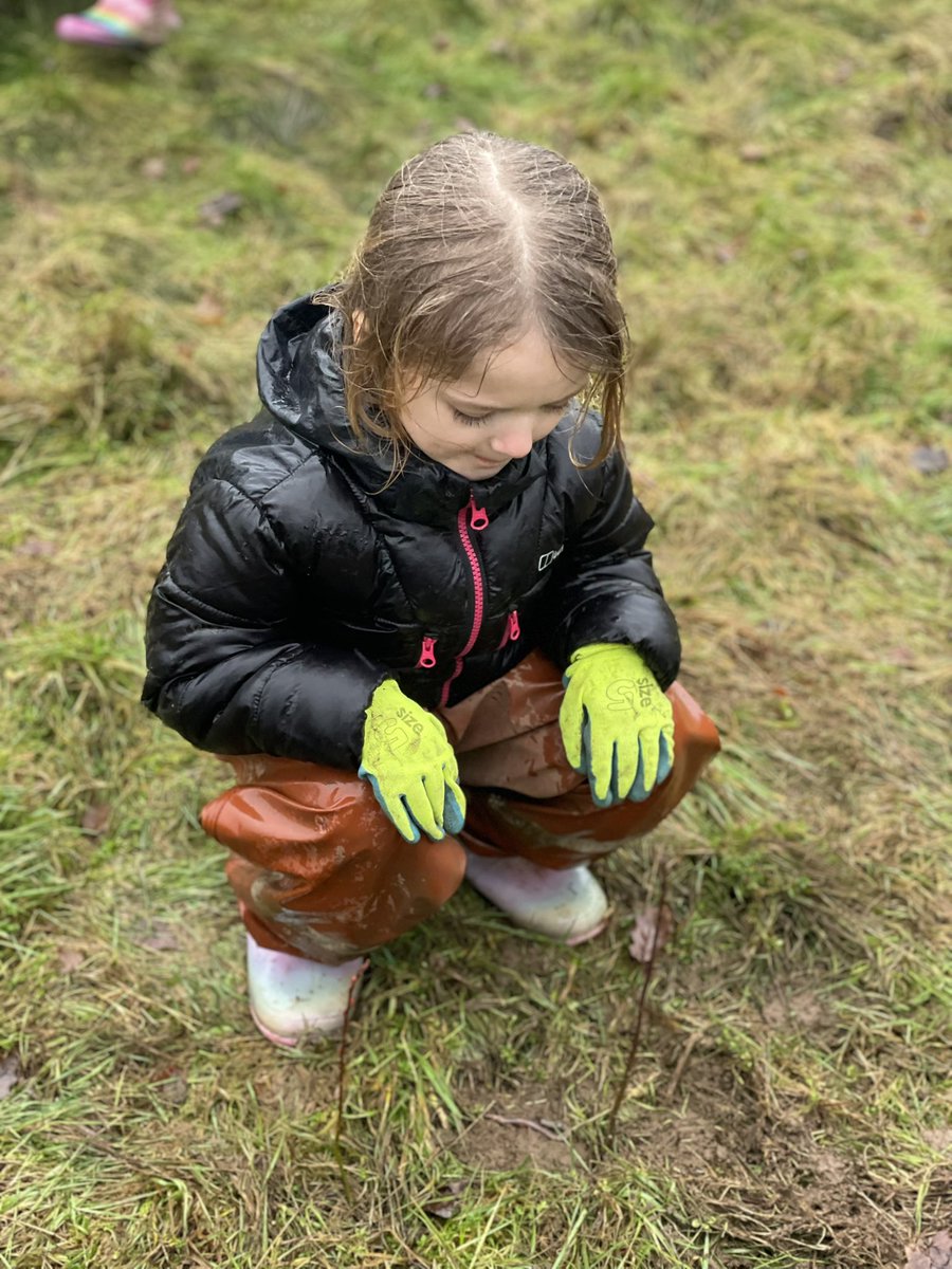 Grimes Dyke Primary School tweet media