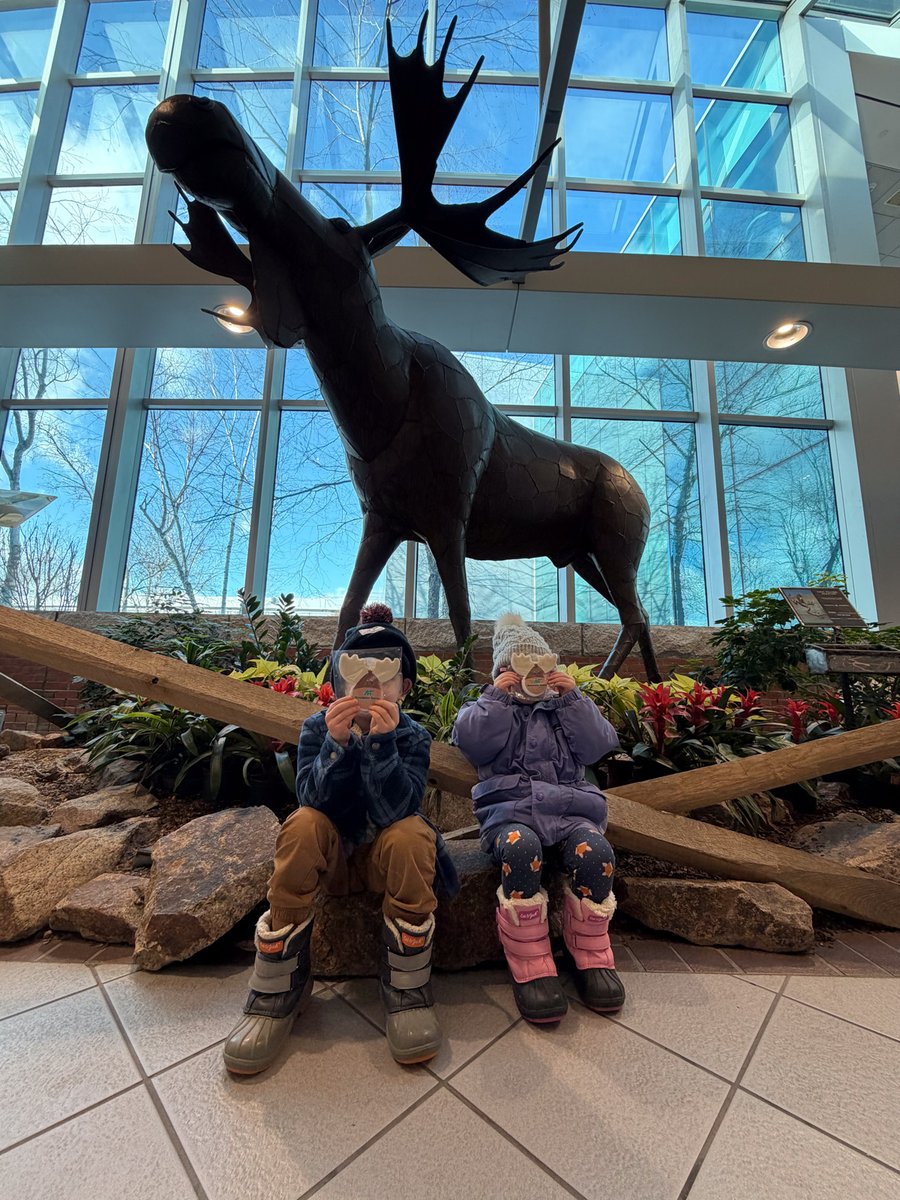 flymanchester's tweet image. Did you know January has a National Moose Day? 🫎 At MHT, we love our unofficial mascot, so we surprised our passengers with some a-moose-ing cookies. We hope this little treat added a lot of antler-tainment to your travel day! ✈️ #FlyMHT
