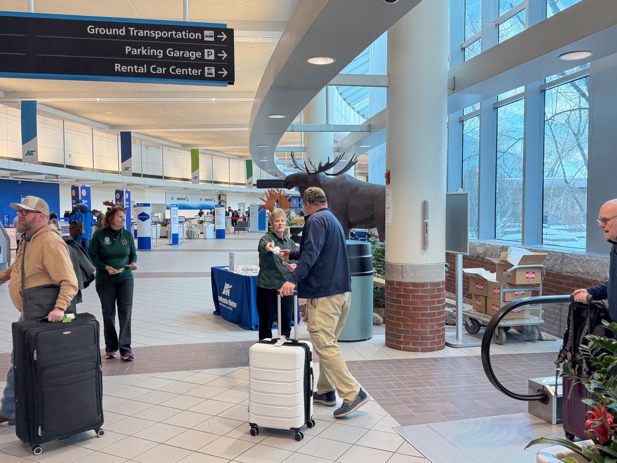 flymanchester's tweet image. Did you know January has a National Moose Day? 🫎 At MHT, we love our unofficial mascot, so we surprised our passengers with some a-moose-ing cookies. We hope this little treat added a lot of antler-tainment to your travel day! ✈️ #FlyMHT