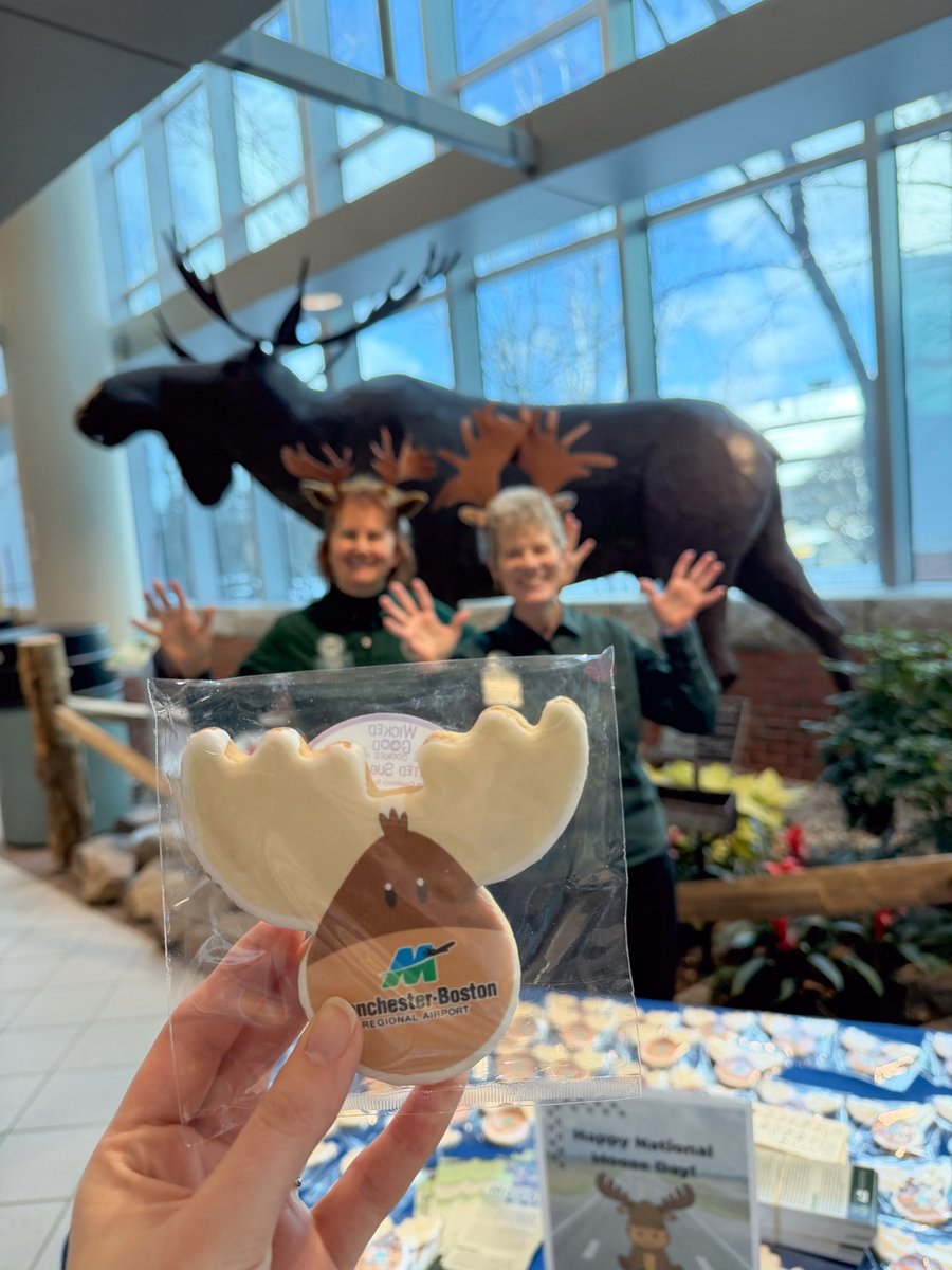 flymanchester's tweet image. Did you know January has a National Moose Day? 🫎 At MHT, we love our unofficial mascot, so we surprised our passengers with some a-moose-ing cookies. We hope this little treat added a lot of antler-tainment to your travel day! ✈️ #FlyMHT