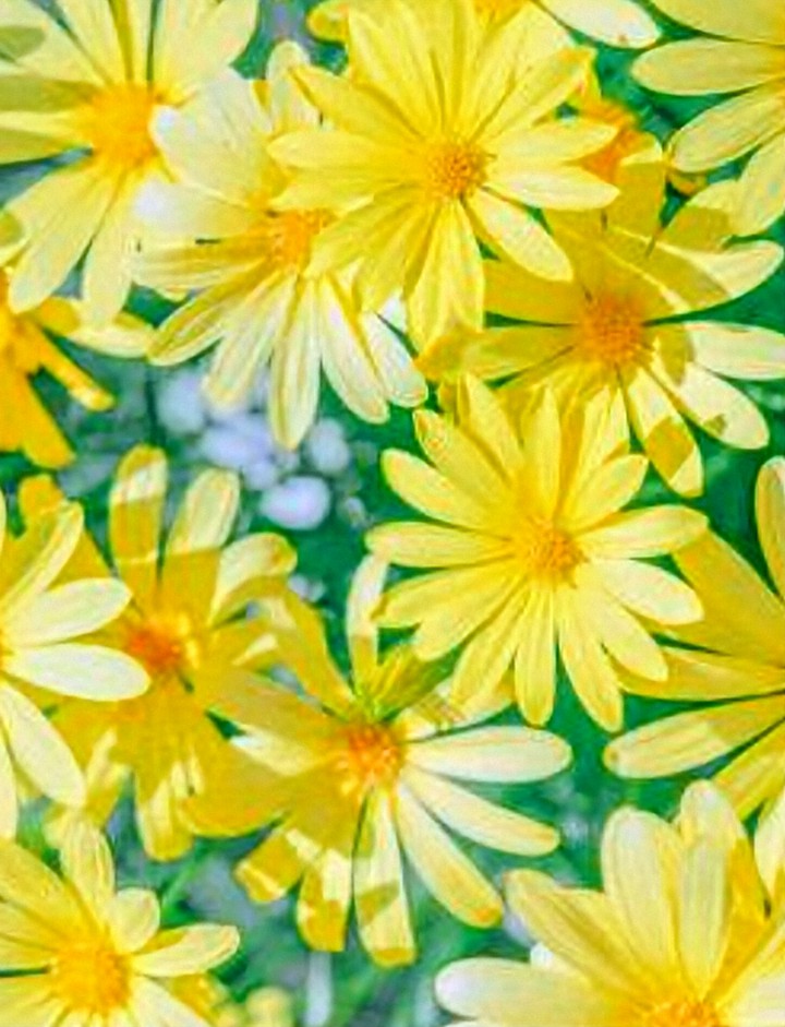 Happy✩断捨離中 誰に会っても良い気分になるでしょう