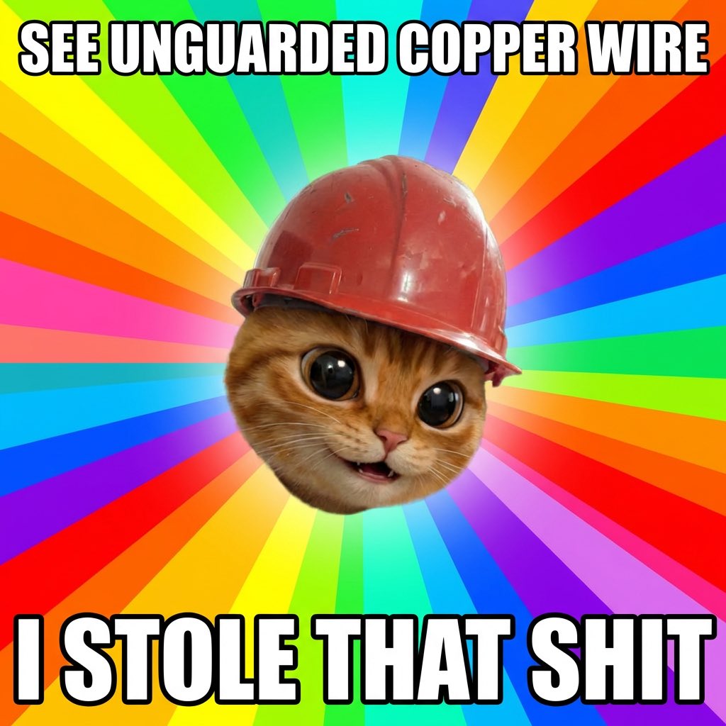 coppercat tweet media