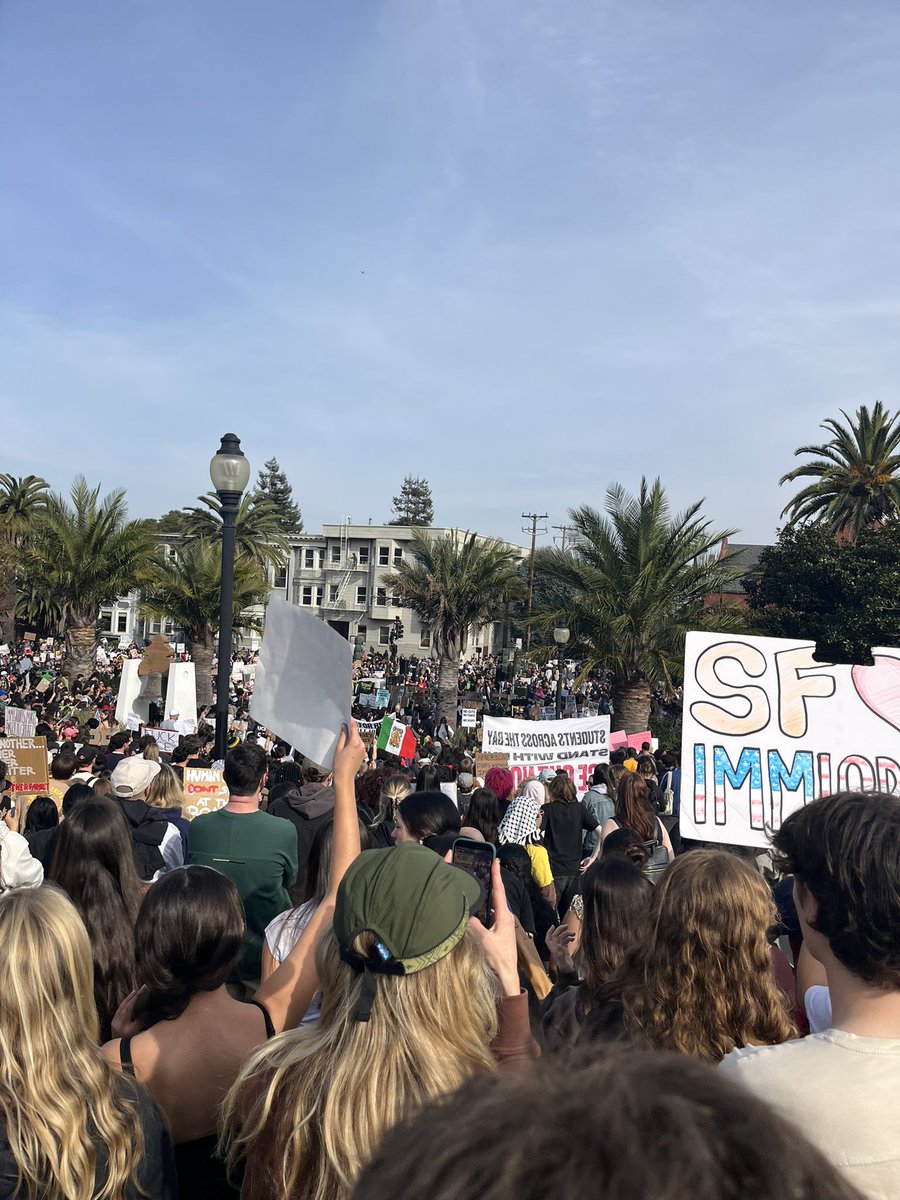 Laciel 🐞 tweet media