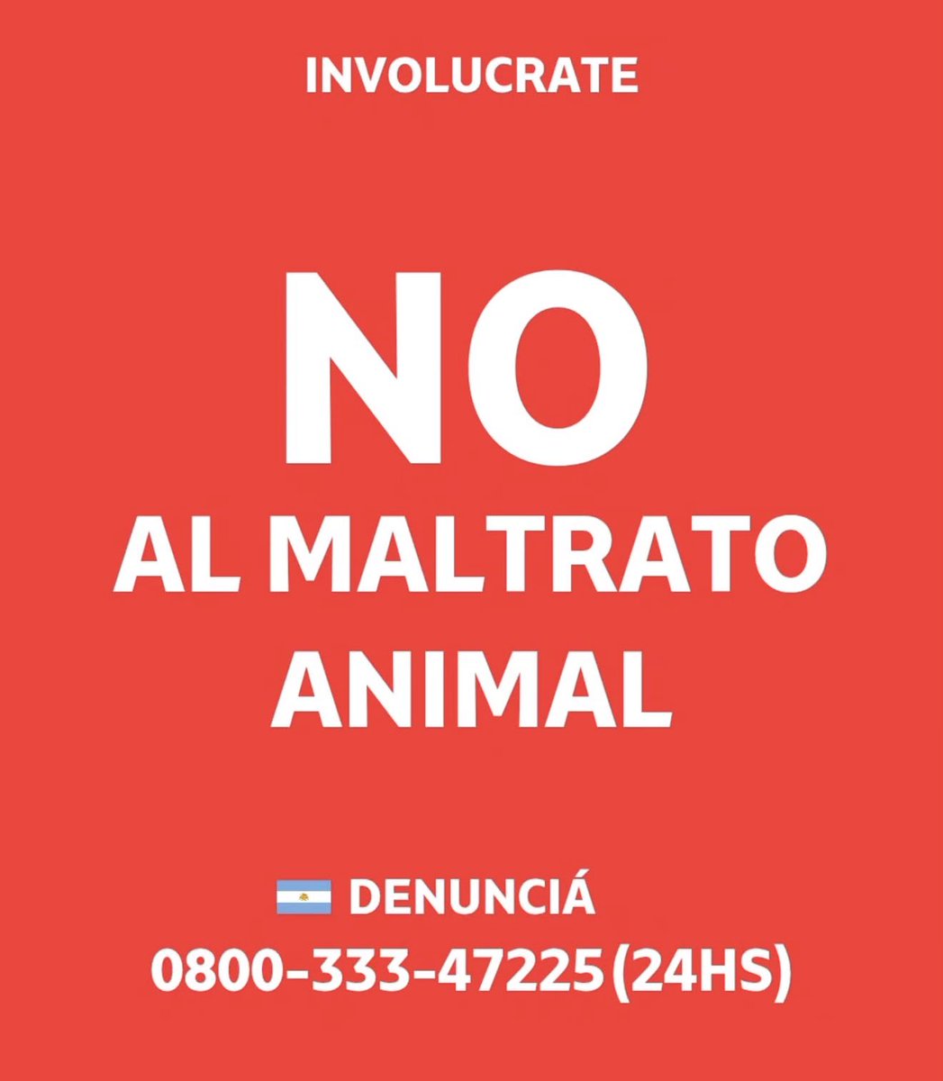 Es importante luchar por los que no tienen voz 🐾