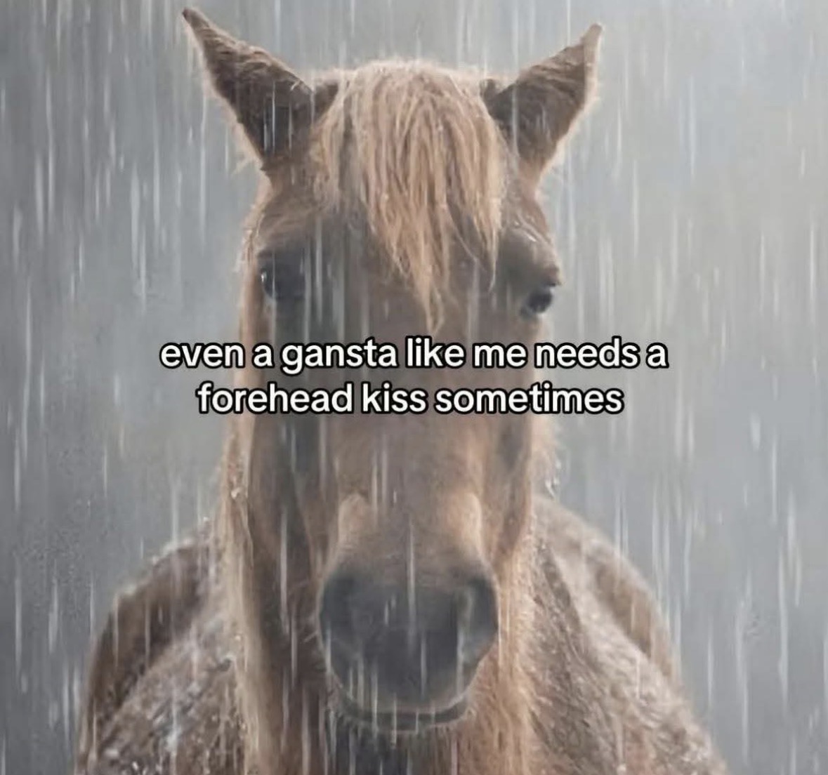 Respectful Memes tweet media