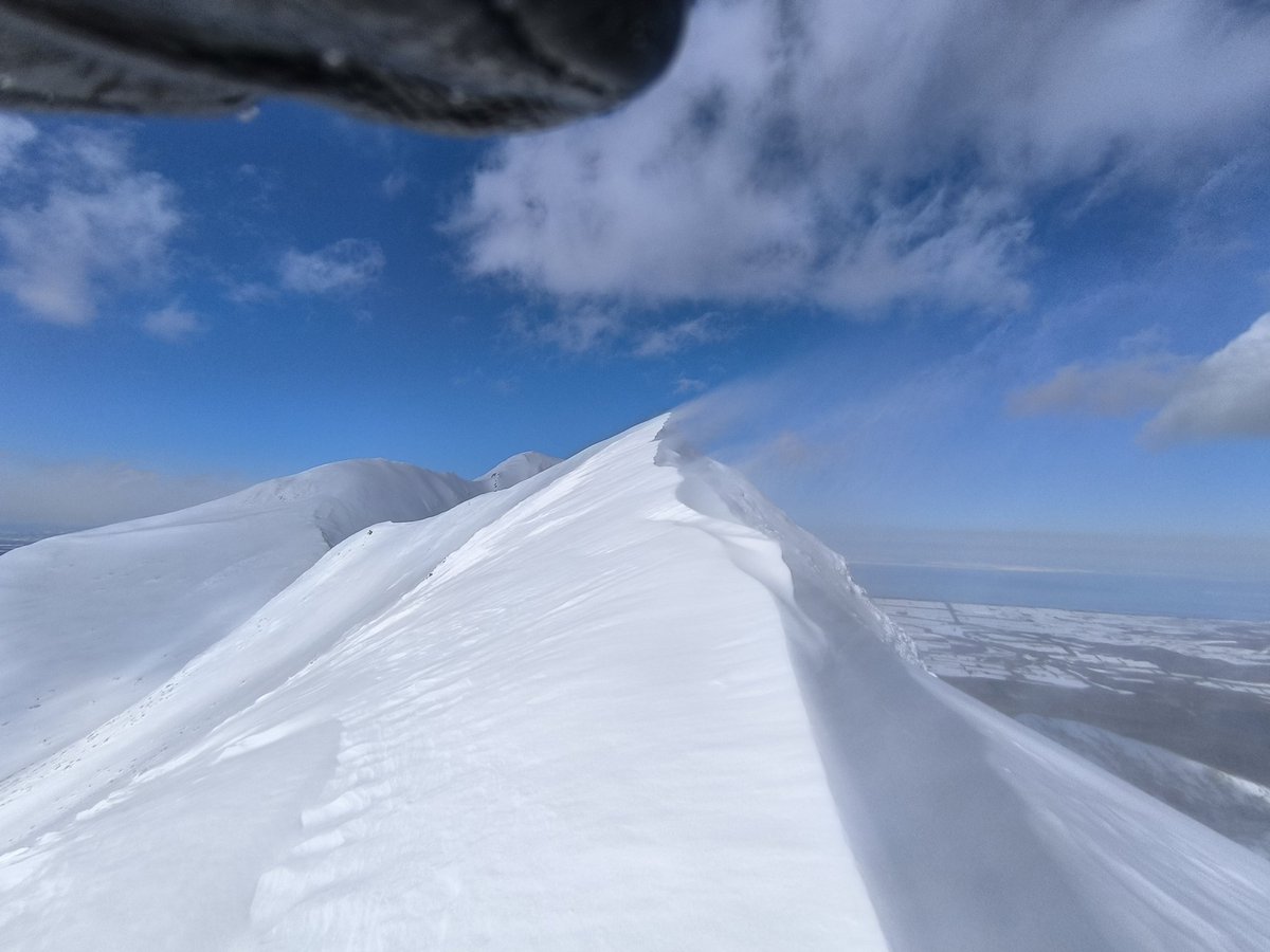 冬❄雪 tweet media