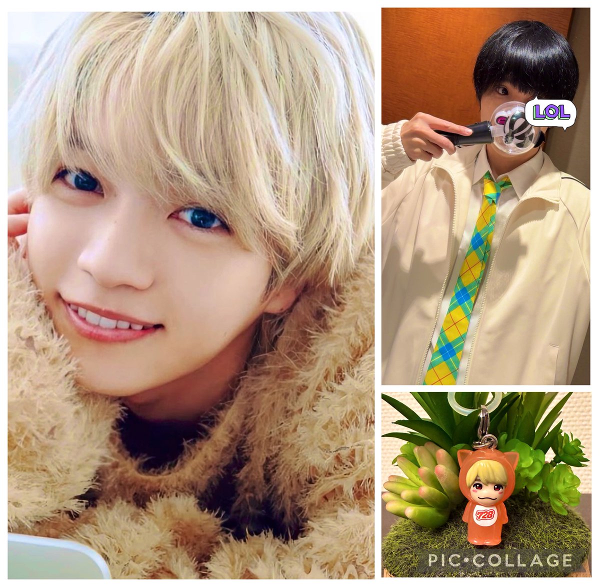 ぽそ畑🐣 tweet media