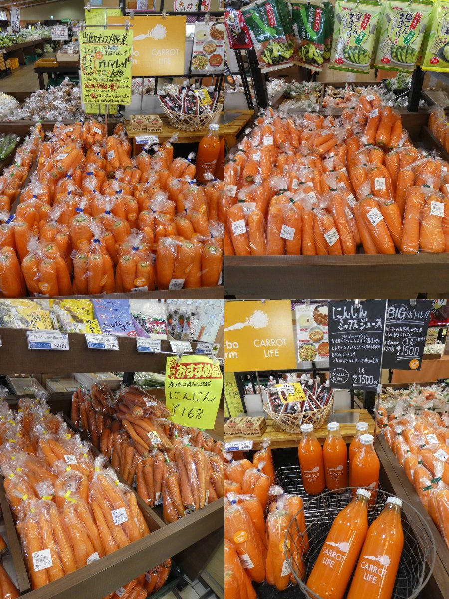 今日は #ニンジン 🥕 厳しい寒さの中で気温が下がっても凍らないように