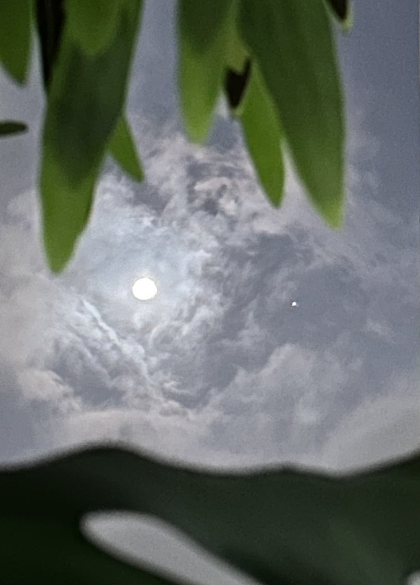 Dav!d🏳️‍🌈 tweet media