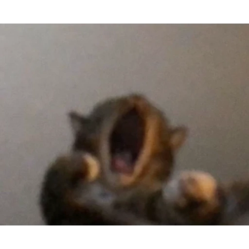 Me dijeron que me subirian el sueldo y solo le pusieron 1 dolar