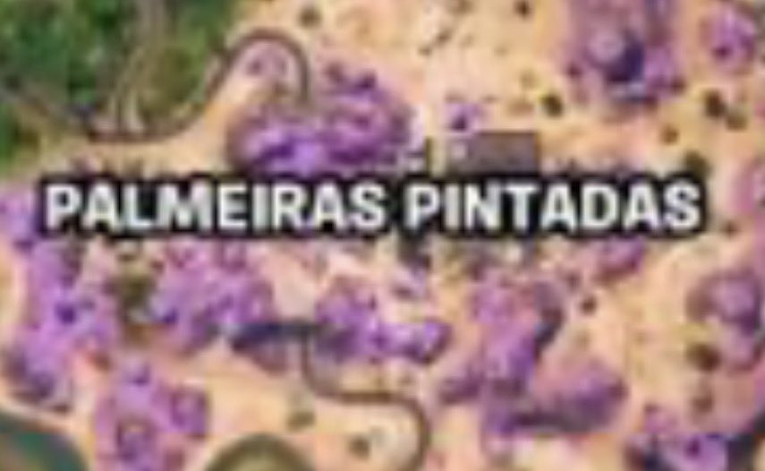 Riquelme tweet media