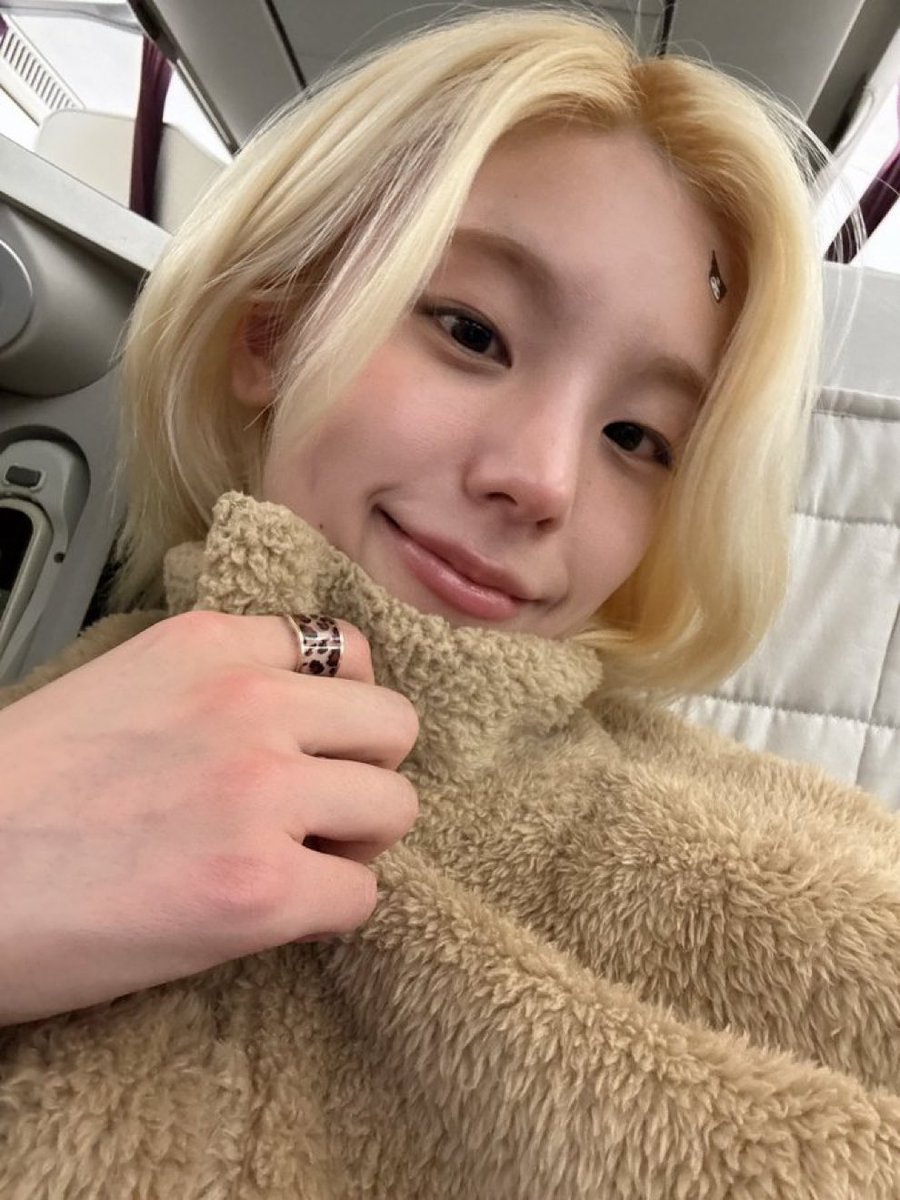 ️️️️️️️ ️ ₍^. .^₎⟆ tweet media