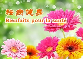 MinghuiFr's tweet image. J’ai enfin découvert la beauté et les merveilles du Falun Dafa. #FalunDafa #Dafa fr.minghui.org/html/articles/…