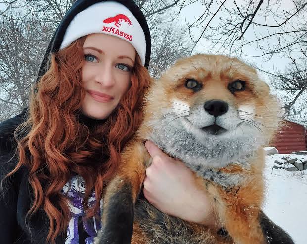 SpinninAlb's tweet photo. Heartbroken that Finny has died.
At least he'll be playing with his Mommy: 'Queen of Rescue Animals' Mikayla again.
R.I.P. Finnegan 🙏🏼

#FinneganFox #SaveAFox

https://t.co/tcLEVeVgEO https://t.co/tWh6IErGG4