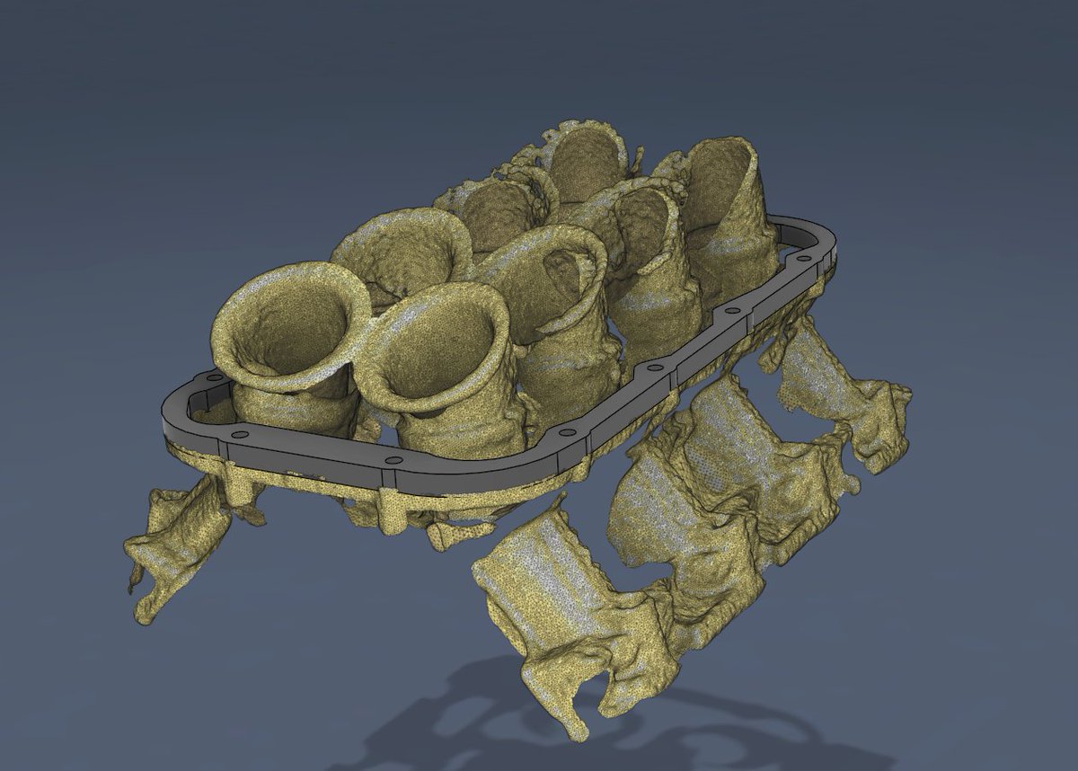 TheWildJarvi tweet media