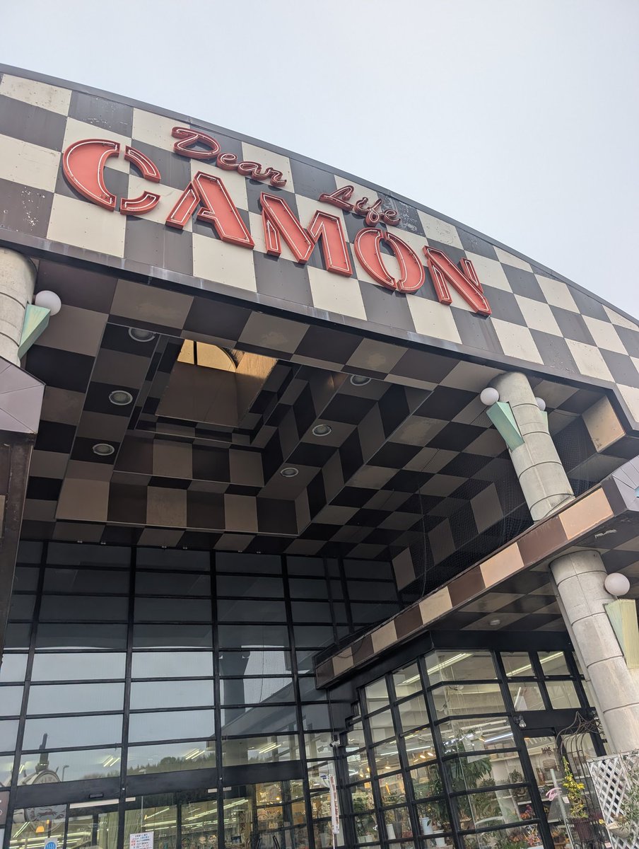 丸山まるる tweet media