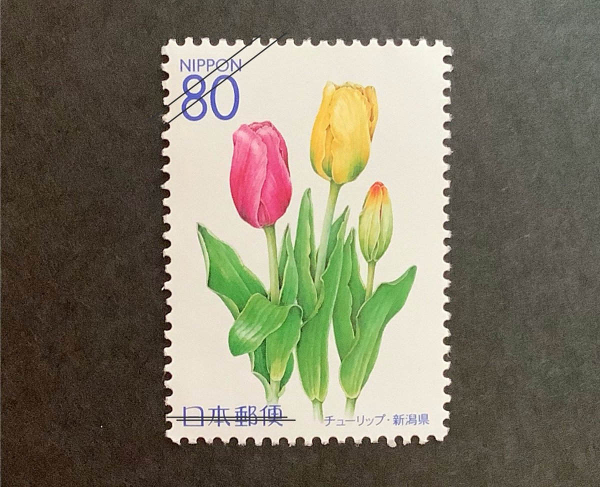 お刃ようございます✂️ 1/31 #チューリップを贈る日 です。この日に