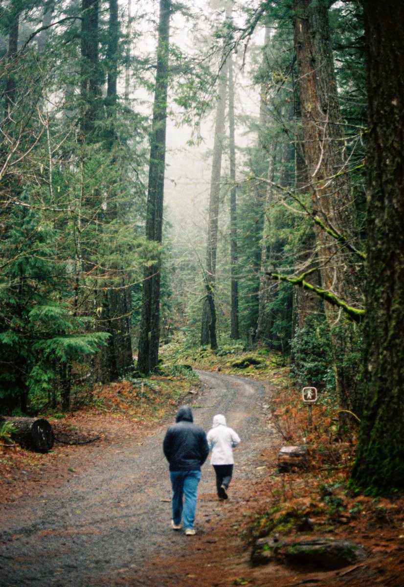 Brooke Fitzwater, PhD (she/her) 🐟🏳️🌈 tweet media