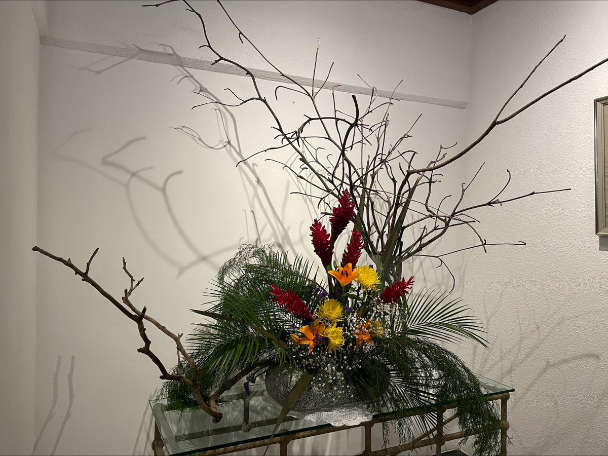 🩵🪻IKEBANA de esta semana🪻🩵
En Nicaragua hay flores tan hermosas🌺😍
Cuando se arreglan con cuidado y sensibilidad, estas flores pueden cautivar a quien las contempla.
¿Qué tipo de ikebana te gustaría ver?🌷