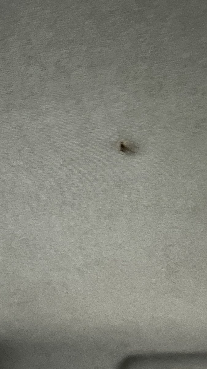 FERNANDES, Felipe tweet media