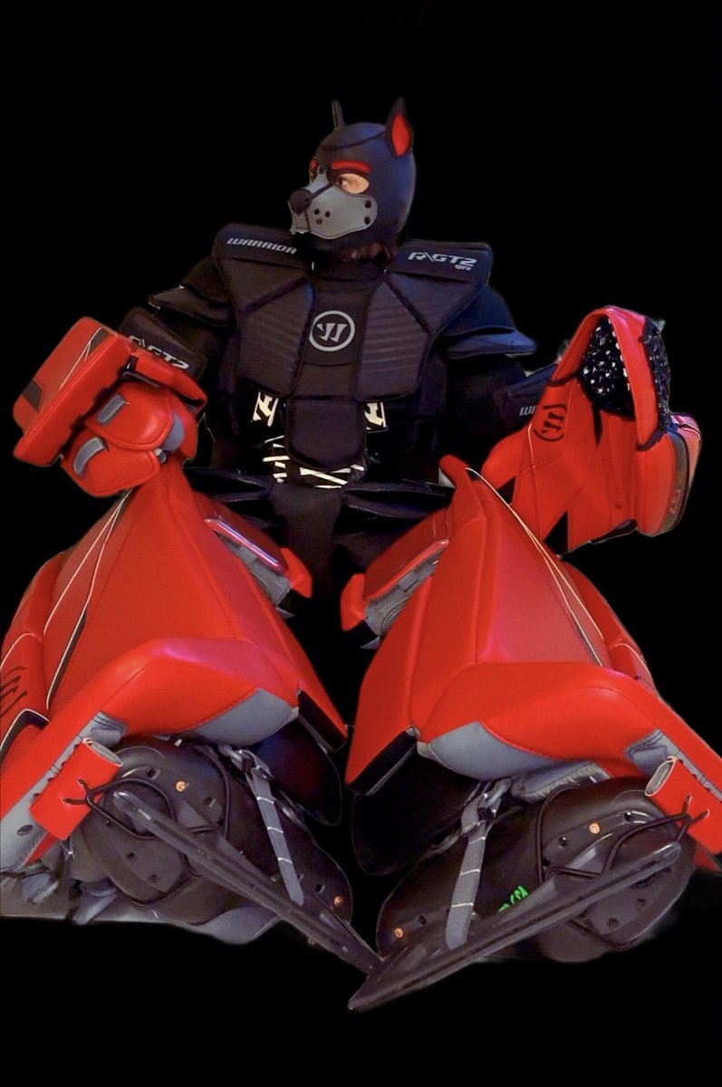 GoaliePups tweet media