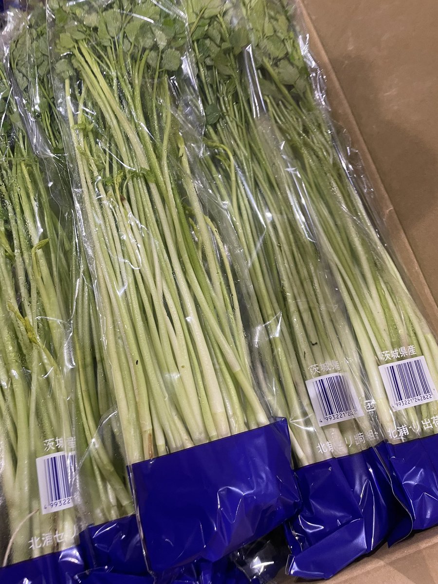 1/31 林青果配送センター引き取り価格 茨城県産 セリ 1パック税込205円