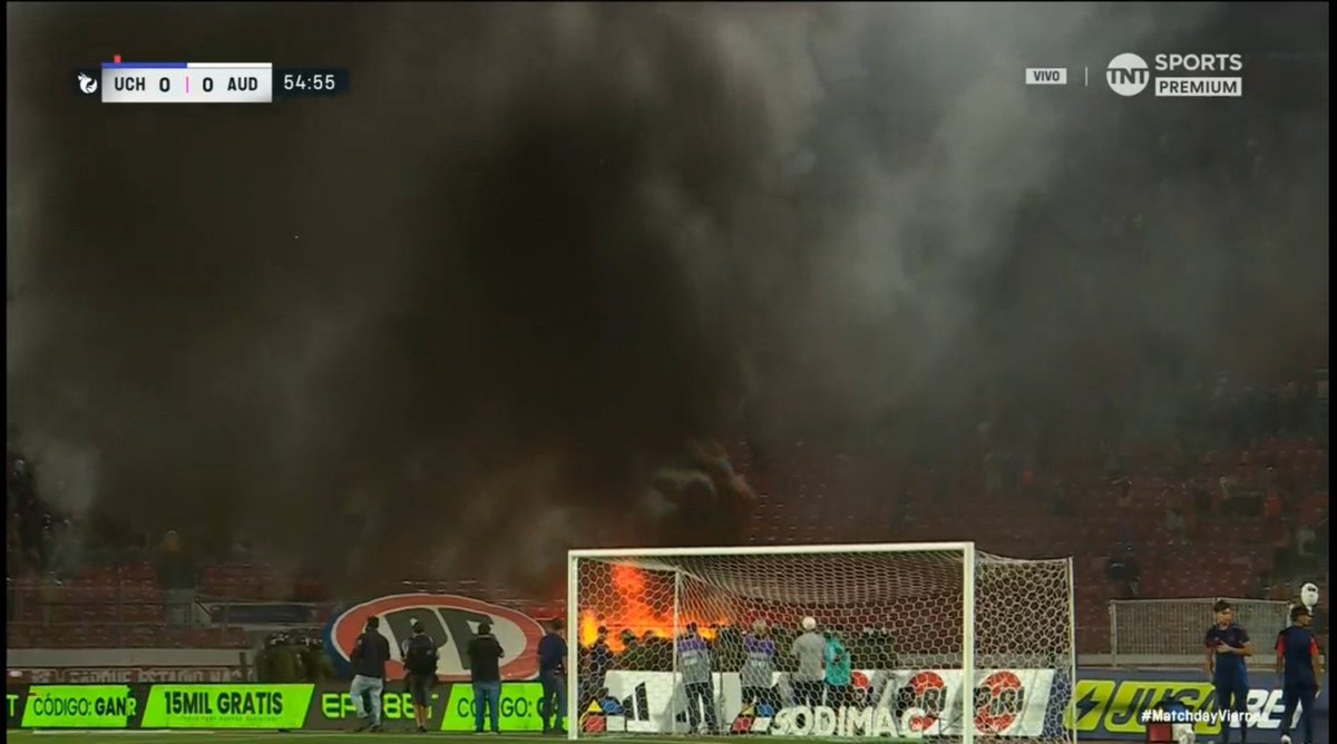 Tani, no Tania tweet media