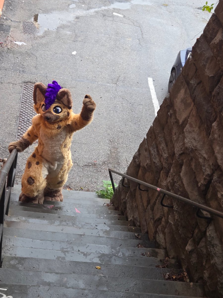 I'm not dead yet! 

#furryfriday #furryfandom #Washingtondc #montypython

✂️<a href="/RSKemono/">Raging Sea Kemono</a>
📸 <a href="/bigfurrycat/">Archicat</a>
